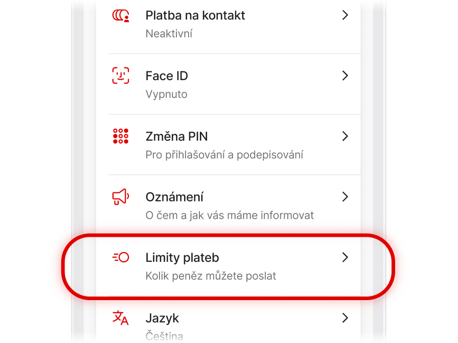 Bezpečnostní limit